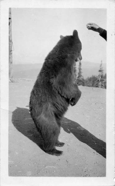 Myra Beulah Yellowstone Glacier 1924_02