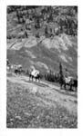Myra Beulah Yellowstone Glacier 1924_04