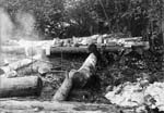 Au Sable River by canoe - Bion & Archie Hall - ca 1907-08 - 15-Bion