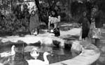 Cuernavaca Mexico - pool at cathedral grounds - 1-16-1945-H11 - Photo by EJH