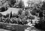 EDH Photo Album - Page 14-1 - Part of garden at 266 Preston Road, Columbus, OH - 1934-H02